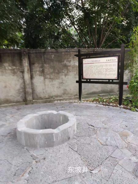 东坡井