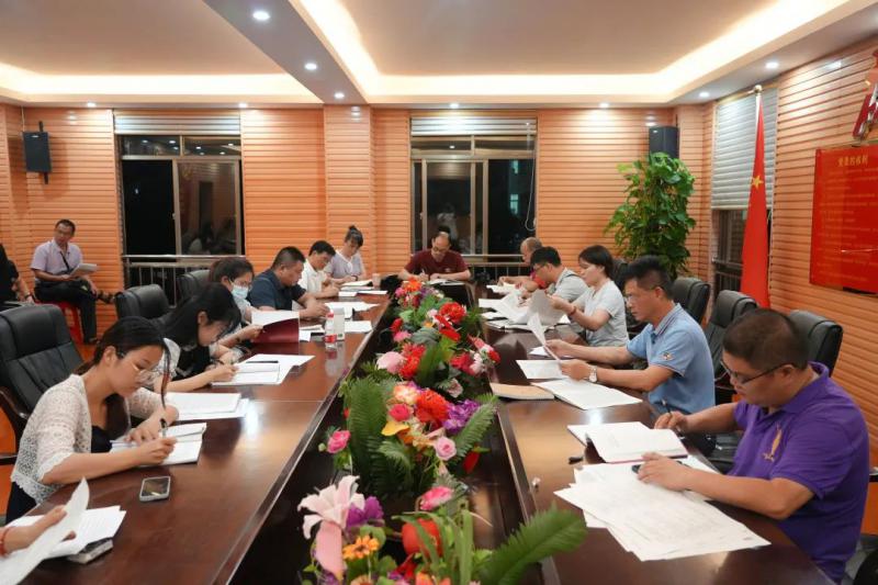 高三年级党支部集中学习